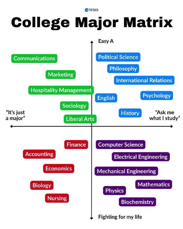 College Majors and the Economic Incentive Structures of AI Integration